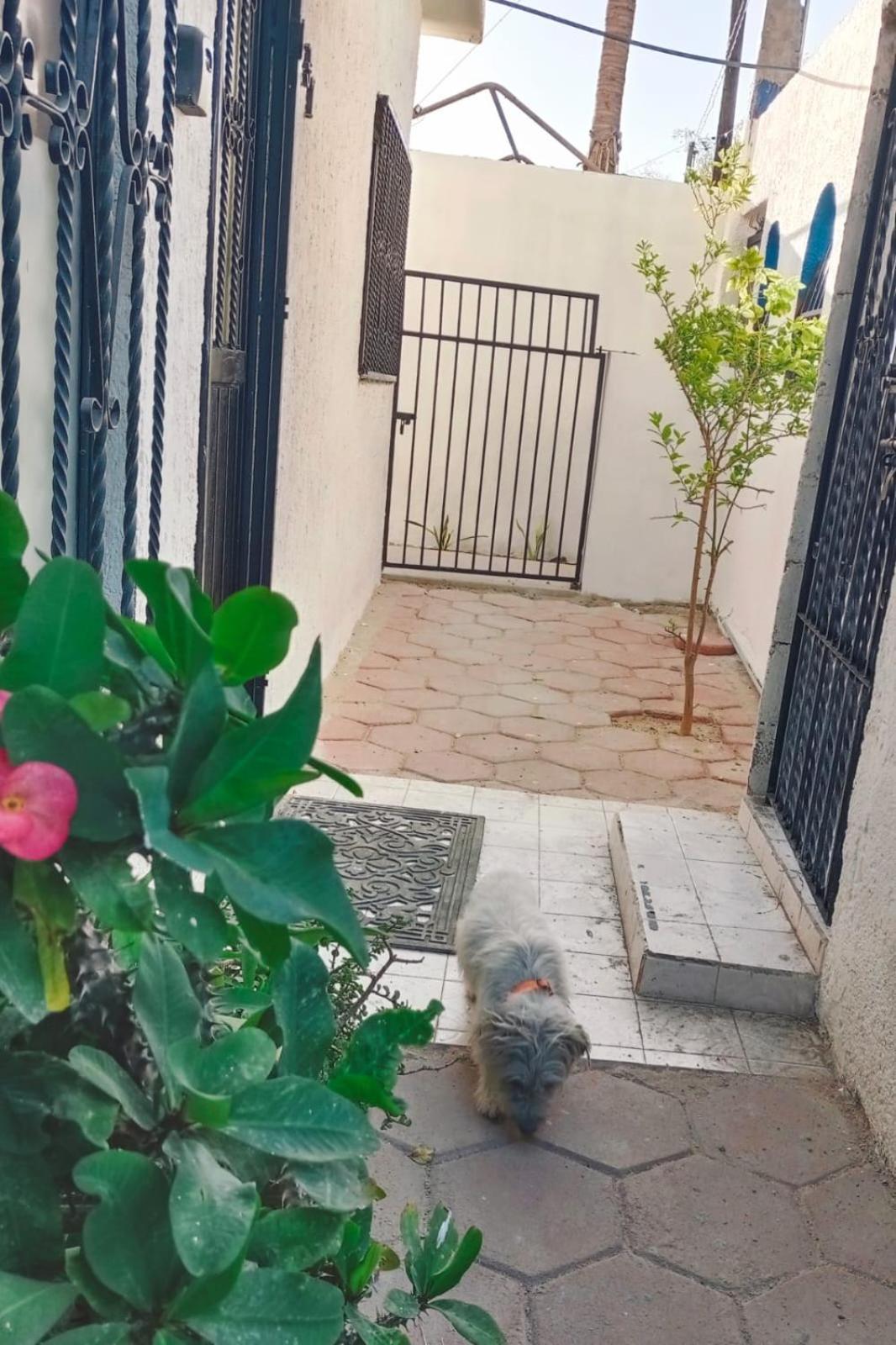 La Casa Del Pescador Apartment La Paz Bagian luar foto
